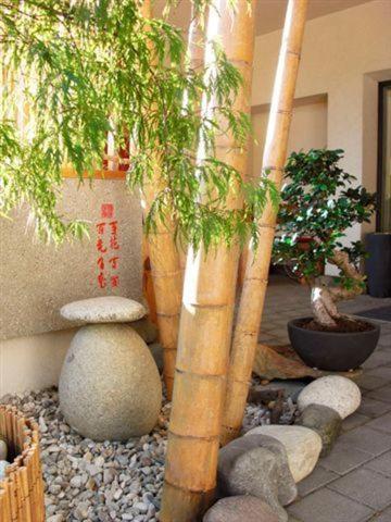 Garni Cremona Bed & Breakfast Bressanone Ngoại thất bức ảnh